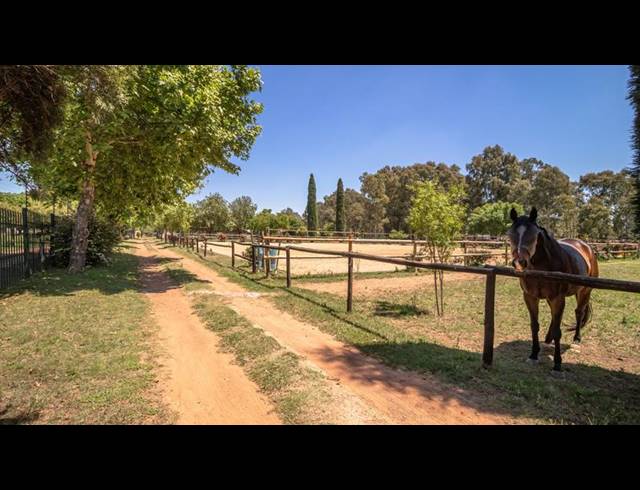 FARM FOR SALE IN BENONI AH